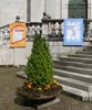Varallo 2014 (40)